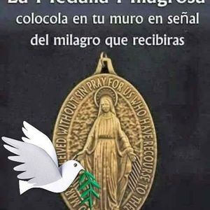 Meet your Posher, Armando